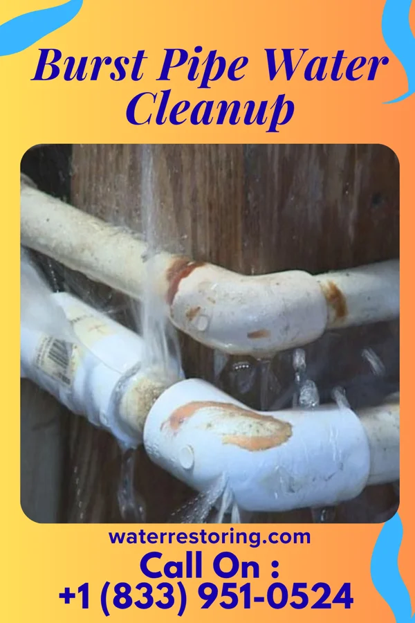 Burst Pipe Water Cleanup in Surgoinsville, TN