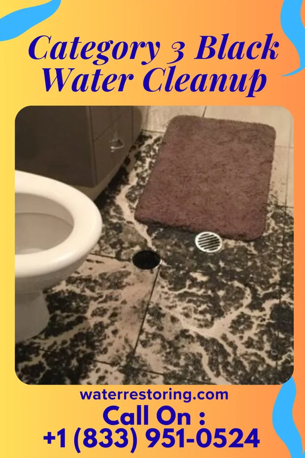 Category 3 Black Water Cleanup in Surgoinsville, TN