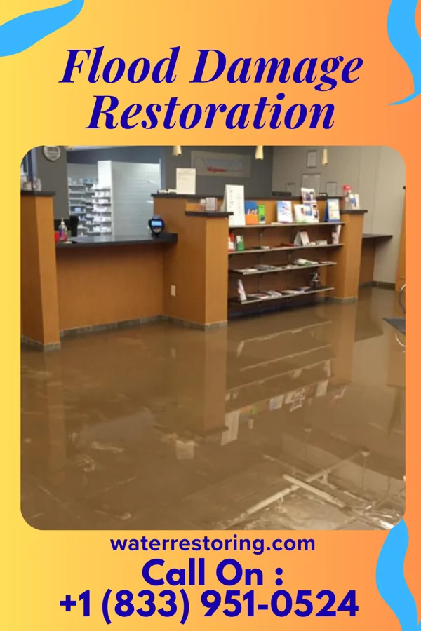 Flood Damage Restoration in Surgoinsville, TN