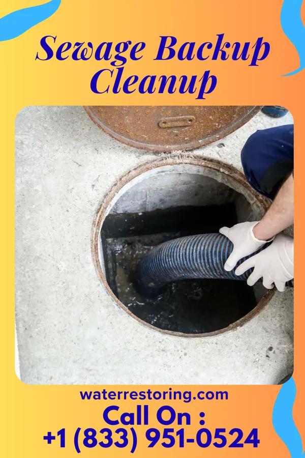 Sewage Backup Cleanup in Surgoinsville, TN