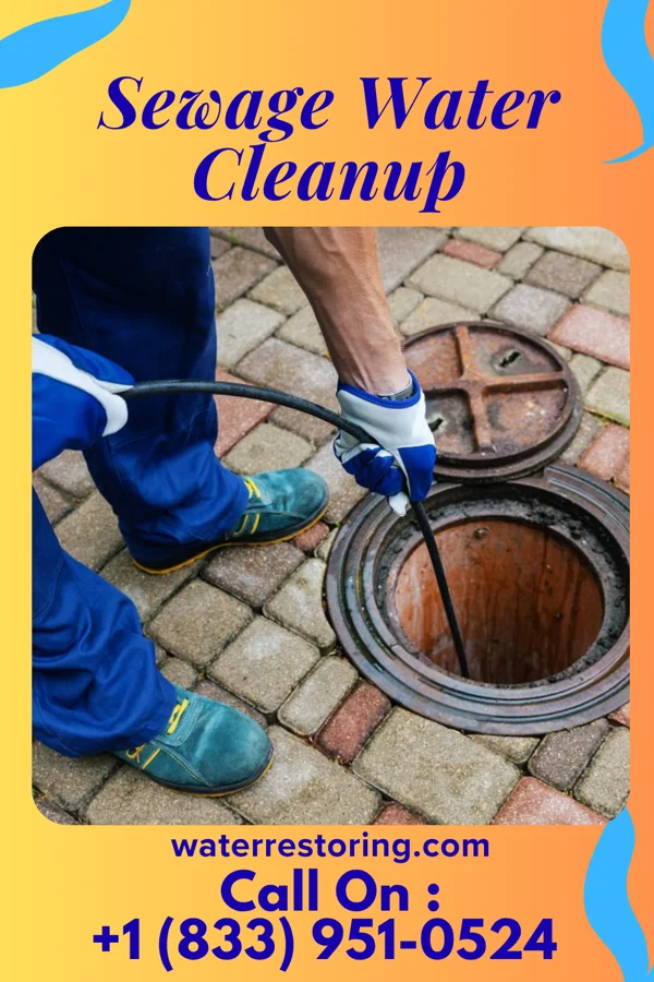 Sewage Water Cleanup in Surgoinsville, TN