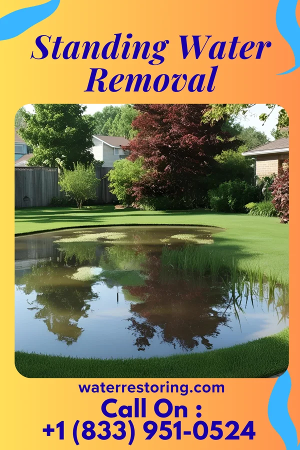 Standing Water Removal in Surgoinsville, TN